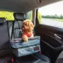 KONG Ultimate Safety Dog Tether & Booster Car Seat for Dogs image thumbnail 2