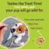 Cookie Pal All Life Stages Soft & Chewy Dog Treats - Peanut Butter & Apple 3.5 oz image thumbnail 3