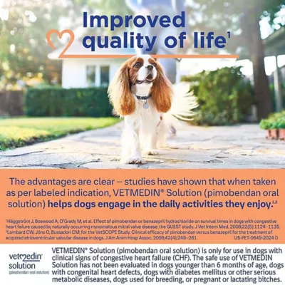 Product Vetmedin Solution for Dogs, 1.5 mg/mL, 50 mL