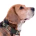 Pets First University of Miami Satin Collar image thumbnail 3