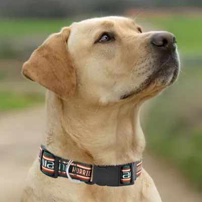 Pets First University of Miami Satin Collar - Image 4