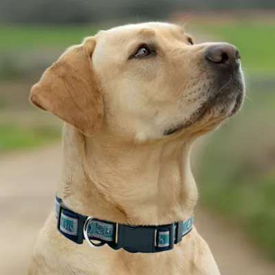 Pets First MLB Seattle Mariners Satin Dog Collar - Image 4