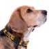 Pets First NHL Pittsburgh Penguins Satin Dog Collar image thumbnail 3