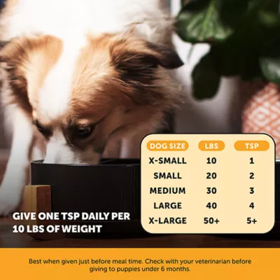 Product Pet Honesty Allergy Anti-Itch Salmon Oil 16 oz