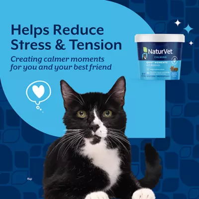 Product NaturVet Quiet Moments Calming Supplement, Salmon and Bacon Flavor, 60 Soft Chews