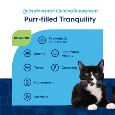 Product NaturVet Quiet Moments Calming Supplement, Salmon and Bacon Flavor, 60 Soft Chews