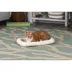 FurHaven Bolster Crate Pet Bed image thumbnail 3