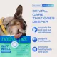 Product Native Pet GutWell Clean Breath Dental Health & Plaque Control Supplement for Dogs 12.7 OZ