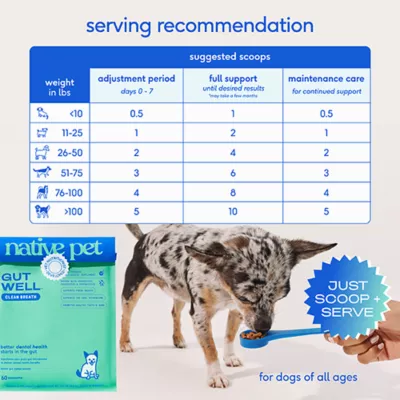Product Native Pet GutWell Clean Breath Dental Health & Plaque Control Supplement for Dogs 12.7 OZ