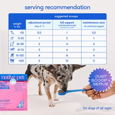Product Native Pet GutWell Itchy Skin Relief Supplement for Dogs with Probiotics 12.7 OZ