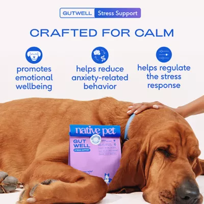 Product Native Pet GutWell Stress Support Anxiety Relief & Calming Supplement for Dogs 12.7 OZ