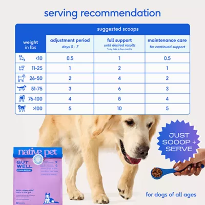 Product Native Pet GutWell Stress Support Anxiety Relief & Calming Supplement for Dogs 12.7 OZ