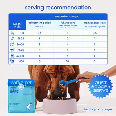 Product Native Pet GutWell Power Poop Probiotics Gut Health & Digestive Health for Dogs