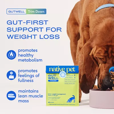 Product Native Pet GutWell Trim Down Healthy Weight Management & Metabolic Support Supplement for Dogs