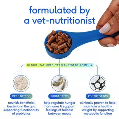 Product Native Pet GutWell Trim Down Healthy Weight Management & Metabolic Support Supplement for Dogs