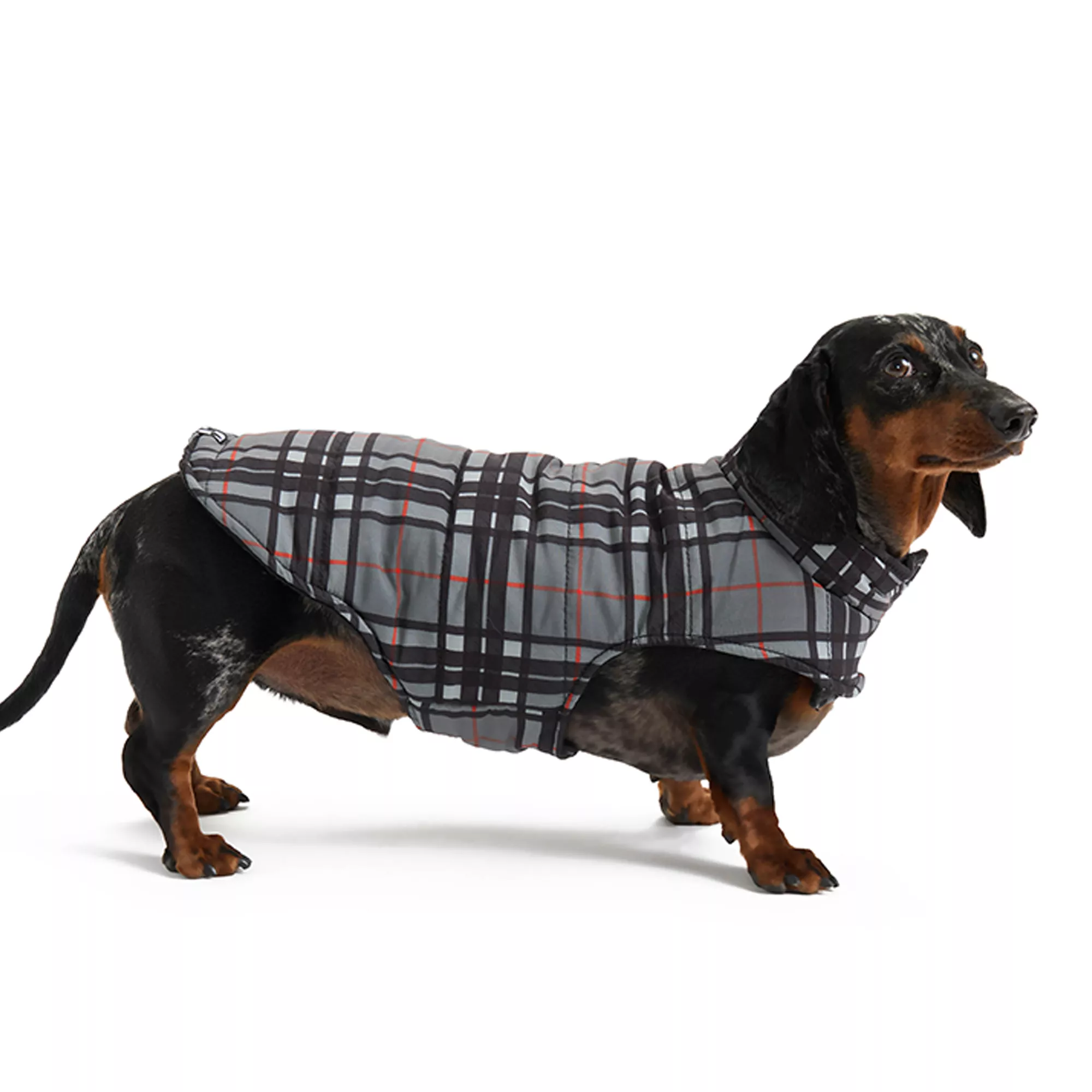 HOTEL DOGGY Dog Chic & Cozy Check Puffer Jacket