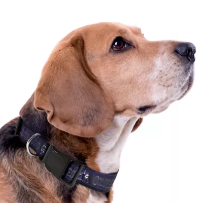 Pets First Colorado Rockies Satin Collar - Image 3