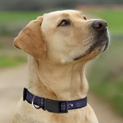 Pets First Colorado Rockies Satin Collar - Image 4