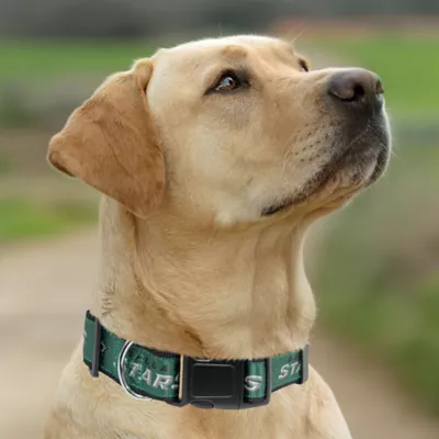 Pets First NHL Dallas Stars Satin Dog Collar - Image 4