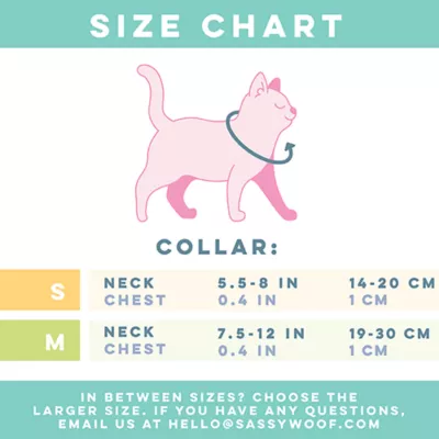 Product Sassy Meow Witch Cat Collar