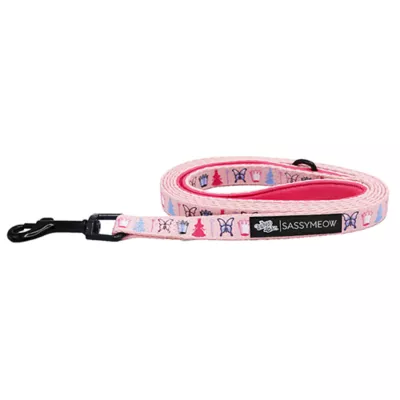 Product Sassy Meow Wicked Witch Cat Leash