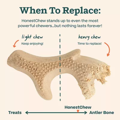 WOOF HonestChew Antler - Image 6
