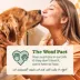 WOOF HonestChew Antler Durable Dog Chew Toy image thumbnail 8