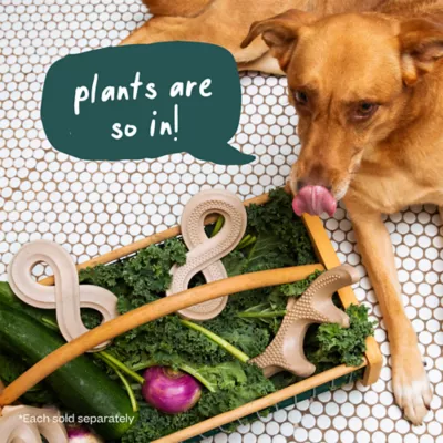 WOOF HonestChew Infinity - Image 9