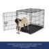 Top Paw® Dog Crate Replacement Pan; Small, Medium, Large, X-Large. XX-Large image thumbnail 2