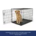 Top Paw® Dog Crate Replacement Pan; Small, Medium, Large, X-Large. XX-Large image thumbnail 2