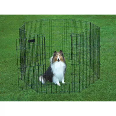 Product Top Paw Exercise Pen