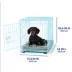 Top Paw® 24" Small Folding Crate - Leak Proof Tray, Collapsible, Pink & Blue image thumbnail 3