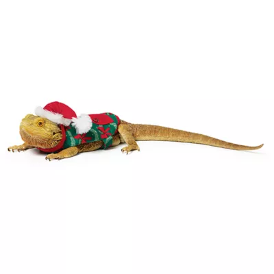 Product Merry & Bright® Reptile Garland Pajamas