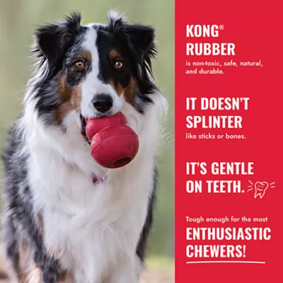 Product KONG® Goodie Bone Dog Toy