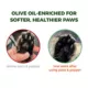 Product Paco & Pepper Olive Pit Cat Litter