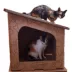 PetPro Modern Cardboard Cat House image thumbnail 4