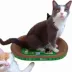 PetPro Scratcher Lounge Cardboard Bed image thumbnail 6