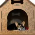 PetPro Cardboard Large Dog House image thumbnail 4