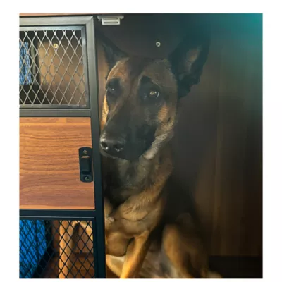 Product Lucky Kennels Stylish Wooden Dog Crate