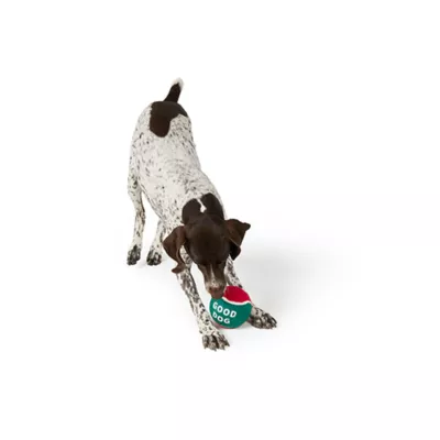 Product Merry & Bright® Ball Dog Toy