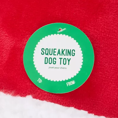 Product Merry & Bright® Holiday Plush Pickle Dog Toy