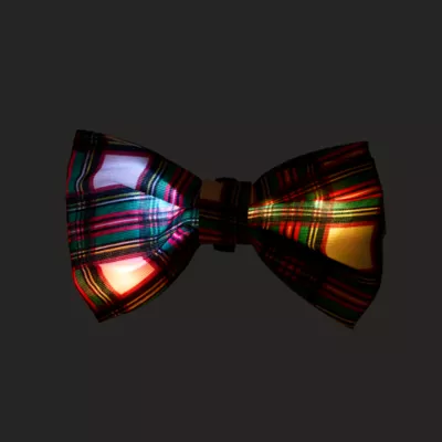 Product Merry & Bright® Light-Up Collar Slide