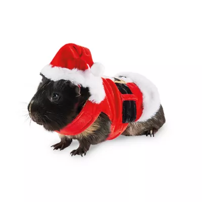 Product Merry & Bright® Small Pet Santa Holiday Costume
