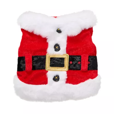 Product Merry & Bright® Small Pet Santa Holiday Costume