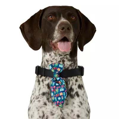 Product Merry & Bright® Light-Up Collar Slide