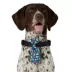Merry & Bright® Light-Up Collar Slide image thumbnail 2