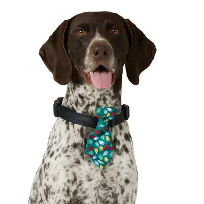 Merry & Bright® Light-Up Collar Slide - Image 2