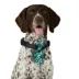 Merry & Bright® Light-Up Collar Slide image thumbnail 2