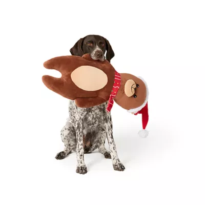 Product Merry & Bright® XL Bear Plush Dog Toy