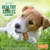 Nylabone Healthy Edible's All Life Stages Small Bone - Bacon 1.6 oz image thumbnail 6